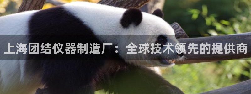 恒行开户娱乐赞议6ll5l：上海团结仪器制造厂：全球技术领先