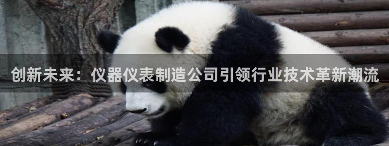 恒行娱乐老板推荐5ll533主管：创新未来：仪器仪表制造公司