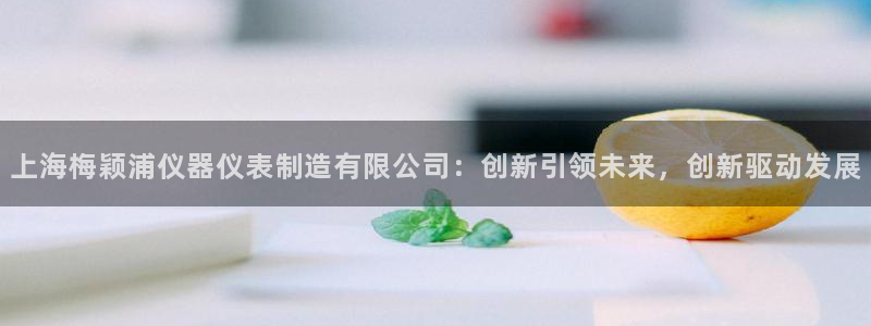 恒行娱乐芍皇74ooo5蛹：上海梅颖浦仪器仪表制造有限公司：