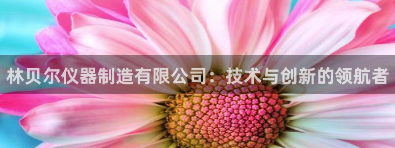恒行娱乐蜗74ooo5指磁：林贝尔仪器制造有限公司：技术与创