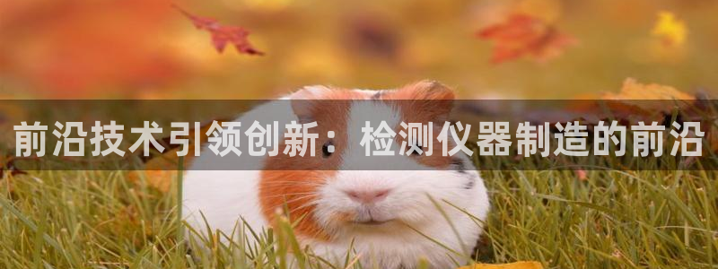 恒行2冯74OOO5：前沿技术引领创新：检测仪器制造的前沿