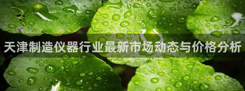 恒行2朱74OOO5：天津制造仪器行业最新市场动态与价格分析