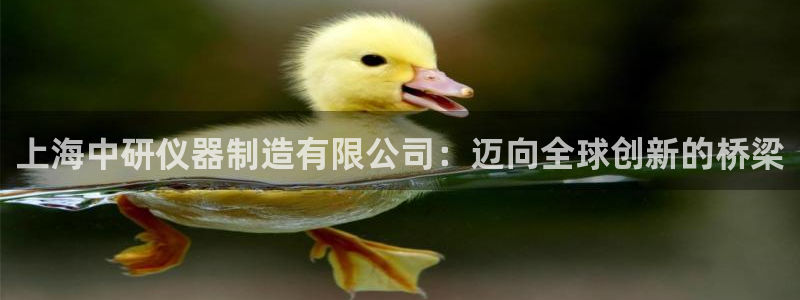 恒行登录就搜6ll5l：上海中研仪器制造有限公司：迈向全球创