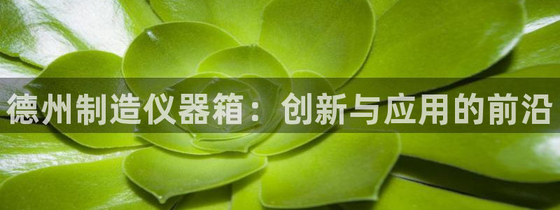 恒行3乃5O6917：德州制造仪器箱：创新与应用的前沿