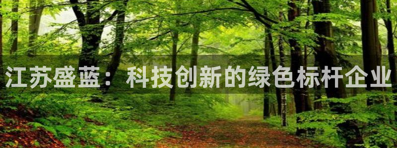 恒行2沈74OOO5：江苏盛蓝：科技创新的绿色标杆企业
