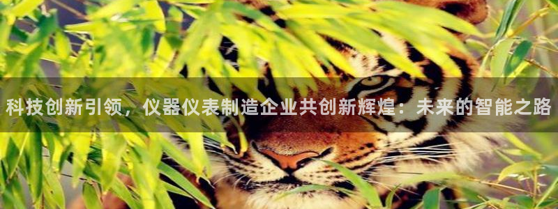 恒行登录就搜6ll5l：科技创新引领，仪器仪表制造企业共创新
