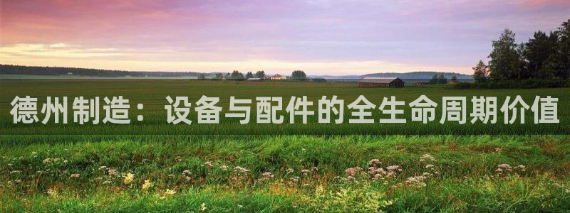 恒行主管总代6ll5l周至：德州制造：设备与配件的全生命周期