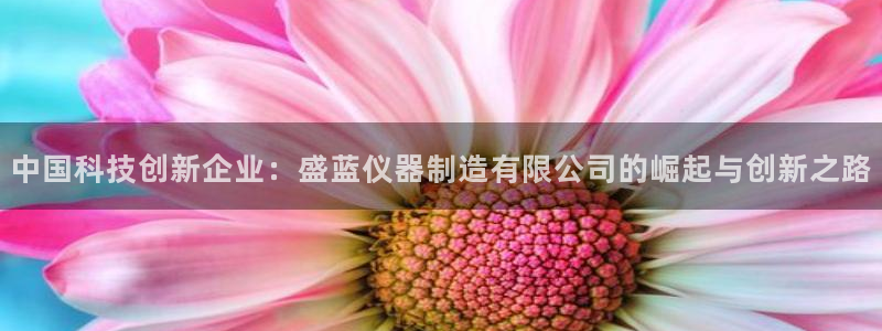 恒行2下74OO5：中国科技创新企业：盛蓝仪器制造有限公司的