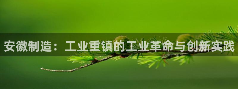 恒行2许74OOO5：安徽制造：工业重镇的工业革命与创新实践