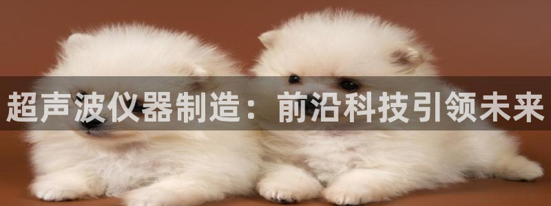 恒行娱乐蜗74ooo5指磁：超声波仪器制造：前沿科技引领未来