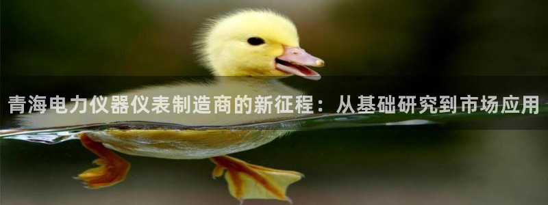 恒行2王74OOO5：青海电力仪器仪表制造商的新征程：从基础