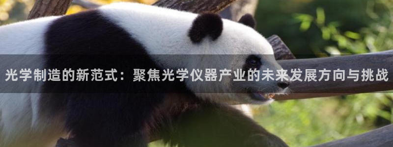 恒行2周74OOO5：光学制造的新范式：聚焦光学仪器产业的未