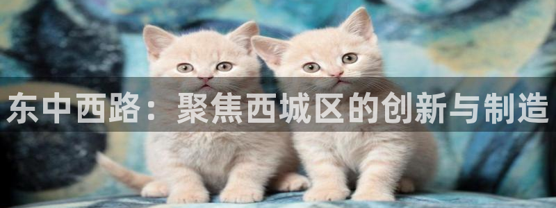 恒行娱乐老板推荐5ll533主管：东中西路：聚焦西城区的创新