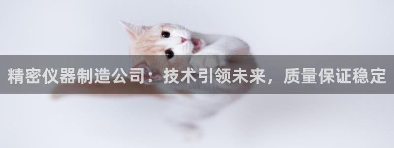 恒行娱乐5ll533主管正直：精密仪器制造公司：技术引领未来