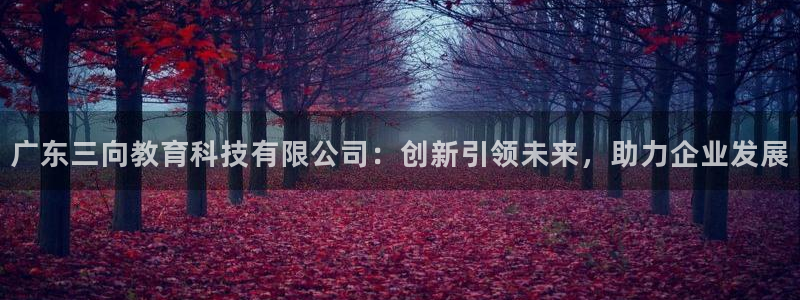 恒行代理总代主导 6ll5l：广东三向教育科技有限公司：创新