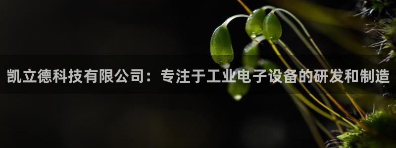 恒指5行情 如来再我心：凯立德科技有限公司：专注于工业电子设