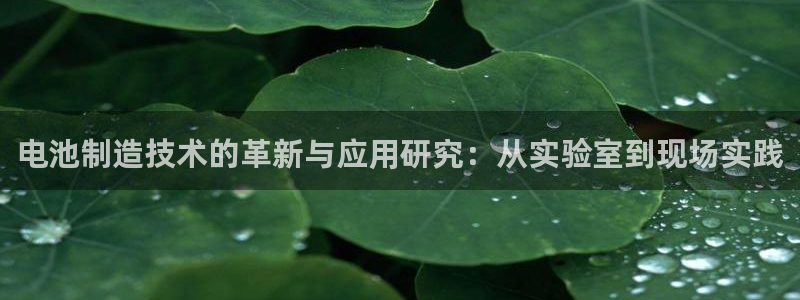 恒行2冯74OOO5：电池制造技术的革新与应用研究：从实验室