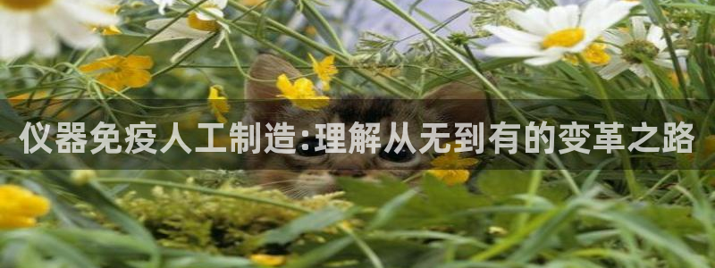 恒指5行情 如来再我心：仪器免疫人工制造:理解从无到有的变革