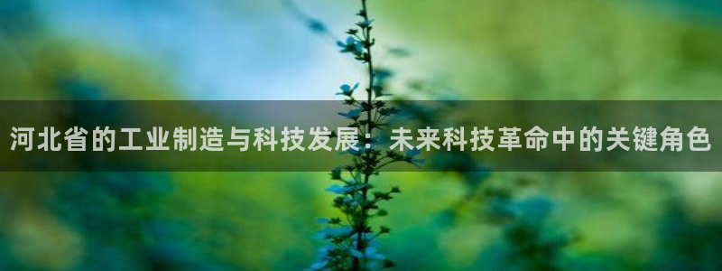 恒行娱乐寻问74 5：河北省的工业制造与科技发展：未来科技革