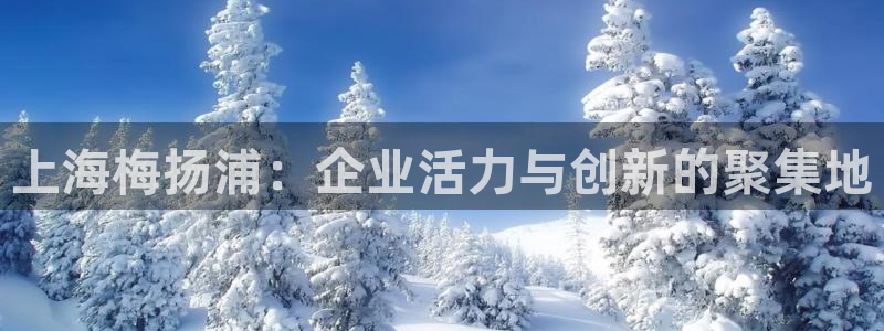 恒行3乃5O6917：上海梅扬浦：企业活力与创新的聚集地