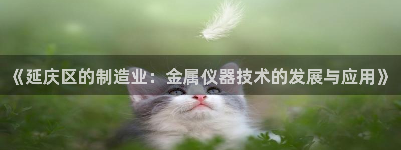 恒行2卫74OOO5：《延庆区的制造业：金属仪器技术的发展与