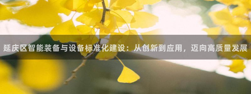 恒行2那74OOO5：延庆区智能装备与设备标准化建设：从创新