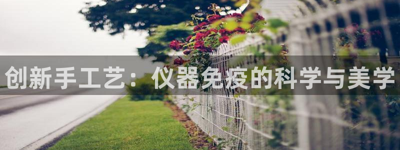 恒行娱乐见5ll533主管：创新手工艺：仪器免疫的科学与美学