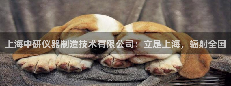 恒行2郑74OOO5：上海中研仪器制造技术有限公司：立足上海