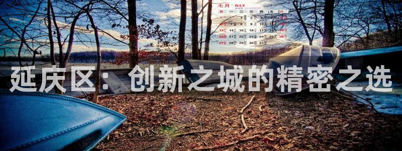 恒行2卫74OOO5：延庆区：创新之城的精密之选