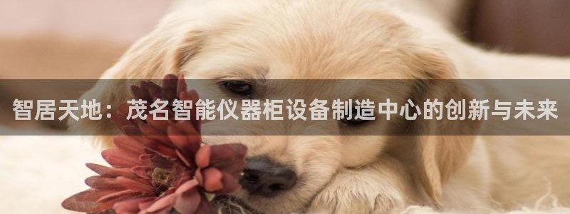 恒行2周74OOO5：智居天地：茂名智能仪器柜设备制造中心的
