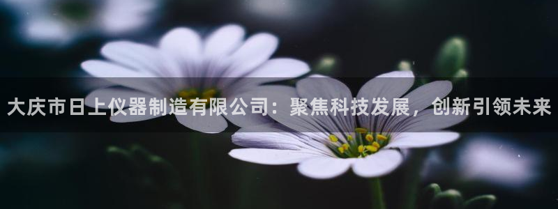 恒行登录就搜6ll5l：大庆市日上仪器制造有限公司：聚焦科技