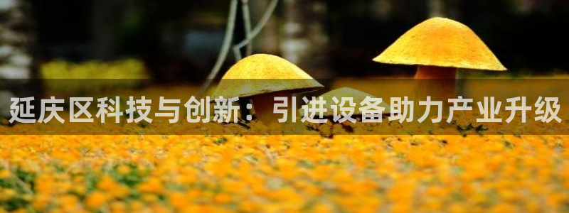 恒行注册招收6ll5l指定：延庆区科技与创新：引进设备助力产