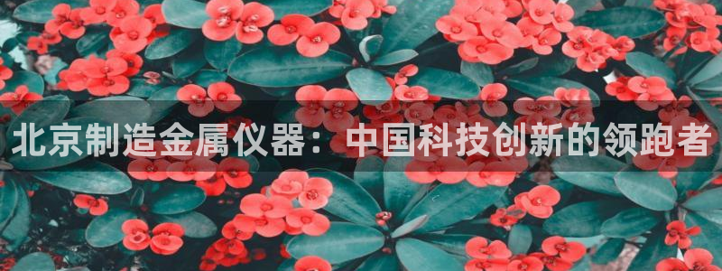 恒行2王74OOO5：北京制造金属仪器：中国科技创新的领跑者