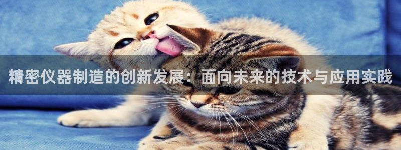 恒行2那74OO5：精密仪器制造的创新发展：面向未来的技术与