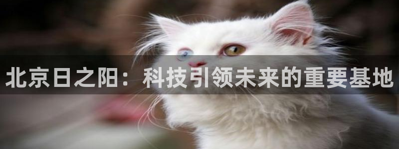 恒行娱乐5ll533主管优雅：北京日之阳：科技引领未来的重要