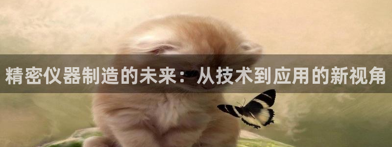 恒行2陈74OOO5：精密仪器制造的未来：从技术到应用的新视
