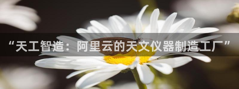 恒行娱乐鸟74ooo5判官：“天工智造：阿里云的天文仪器制造