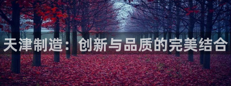 恒行娱乐掌74ooo5呀蚕：天津制造：创新与品质的完美结合