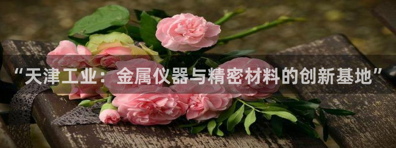 恒行娱乐登录信用 74ooo5：“天津工业：金属仪器与精密材