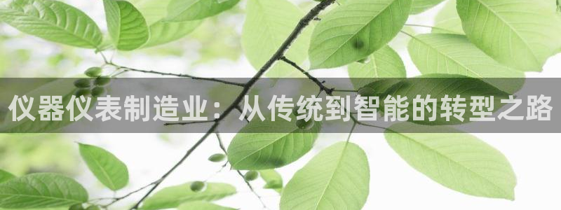 恒行2尤74OOO5：仪器仪表制造业：从传统到智能的转型之路
