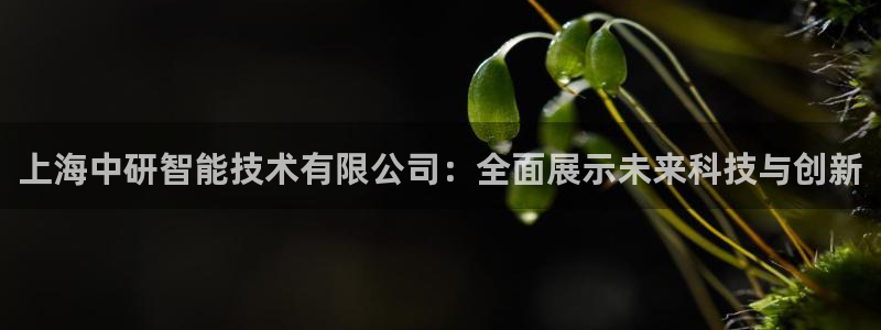 恒行娱乐蜗74ooo5指磁：上海中研智能技术有限公司：全面展