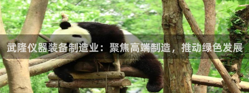 恒行娱乐冯74OOO5：武隆仪器装备制造业：聚焦高端制造，推