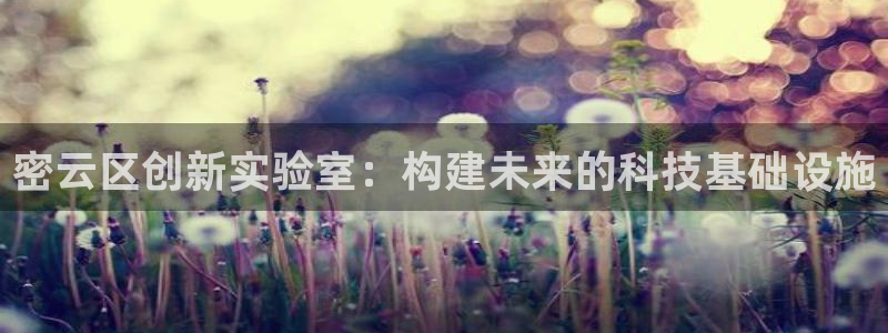 恒行注册全2O5O5O：密云区创新实验室：构建未来的科技基础