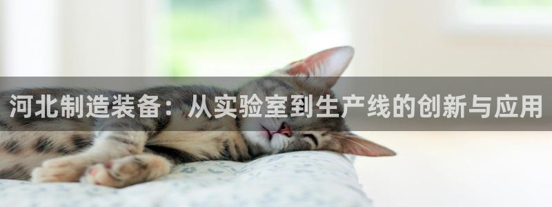 恒行娱乐5ll533主管耐心：河北制造装备：从实验室到生产线