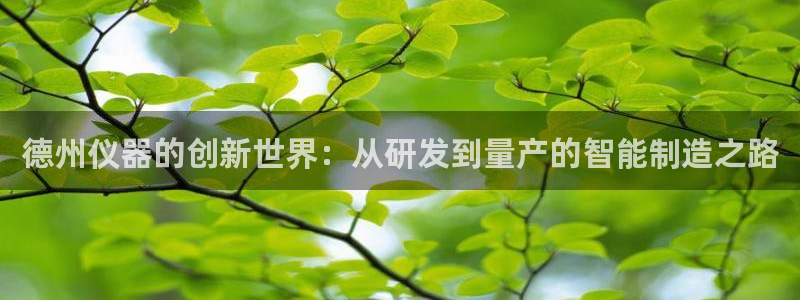 恒行娱乐陈74OOO5：德州仪器的创新世界：从研发到量产的智