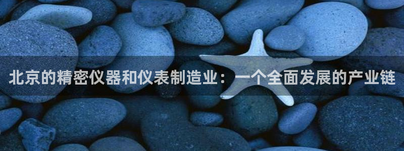 恒行娱乐河沂74ooo5程：北京的精密仪器和仪表制造业：一个