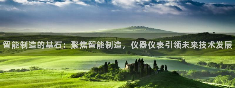 恒行2下74OO5：智能制造的基石：聚焦智能制造，仪器仪表引