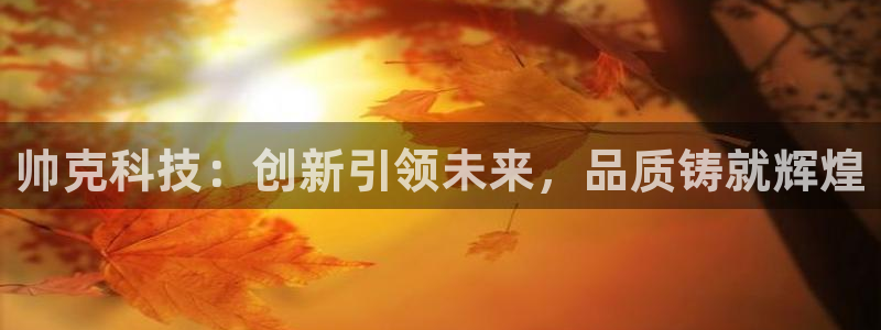 恒行主管首问6ll5l：帅克科技：创新引领未来，品质铸就辉煌