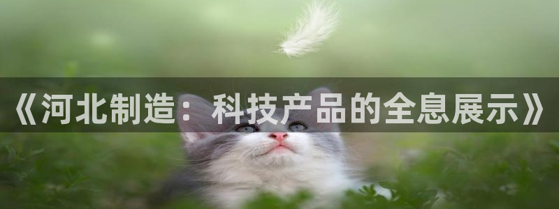 恒指5行情 如来再我心