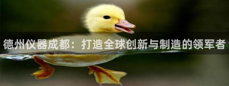 恒行娱乐5ll533主管优雅：德州仪器成都：打造全球创新与制